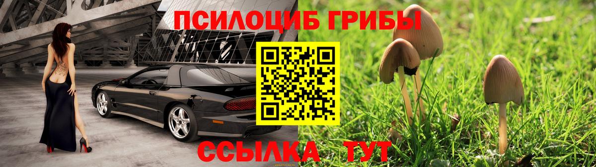 Псилоцибиновые грибы MAGIC MUSHROOMS Минусинск